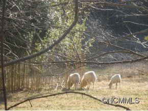 783 Starnes Cove Road - Photo 9