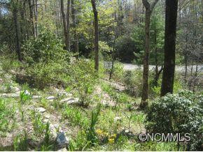 20 N Eastatoe Gap Rd - Photo 24