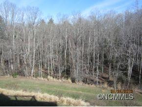 339 Scarlet Tanager - Photo 15