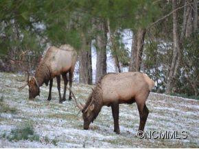 514 BLACK CAMP GAP ROAD - Photo 21