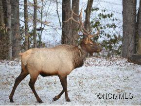 514 BLACK CAMP GAP ROAD - Photo 22