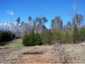 344 Etowah Mountain Estates - Photo 13