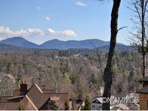 2009 Viburnum Lane - Photo 3