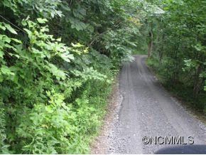 726 Bearwallow Road - Photo 21