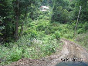 726 Bearwallow Road - Photo 22