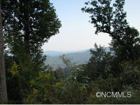 726 Bearwallow Road - Photo 4