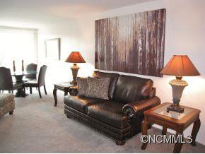 647 Town Mountain Road Unit 305