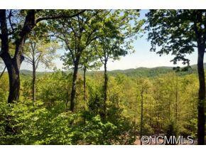 90 Dogwood Trail - Photo 13