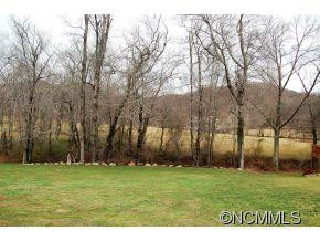 38 Rose of Sharon - Photo 3