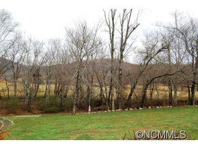 38 Rose of Sharon - Photo 4