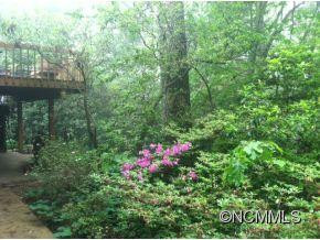 713 Three Mile Knob Road - Photo 7