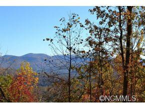 77 Maple Forest Rd. - Photo 2