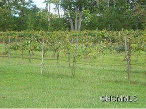3438 Poors Ford Road - Photo 19