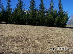 4116 Big Level Road - Photo 3