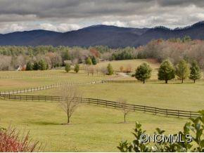 358 WHITE PINE DRIVE - Photo 17