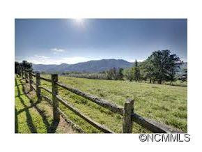 358 WHITE PINE DRIVE - Photo 19