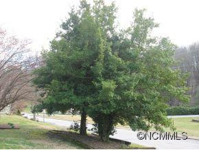 352 CHESTNUT PARK DRIVE - Photo 4