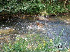 3L Marion Forest - Photo 16
