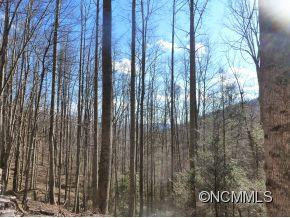 31 Black Oak Forest Road - Photo 2
