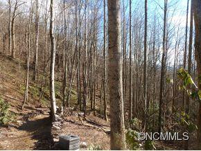 31 Black Oak Forest Road - Photo 9