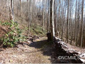 31 Black Oak Forest Road - Photo 10