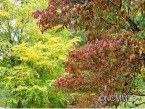15 Avondale Road - Photo 22