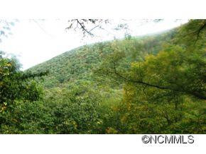 730 WAYHA ZOOSHUGA ROAD - Photo 4