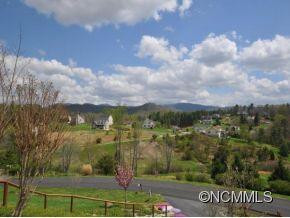 323 HEMLOCK SPRINGS TRAIL - Photo 23