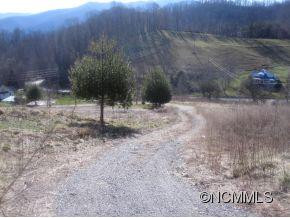 201 Hound Holler - Photo 17