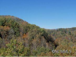 105 Rose Of Sharon Ridge - Photo 21