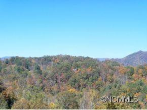 105 Rose Of Sharon Ridge - Photo 22