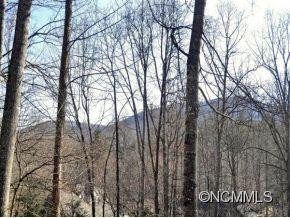 113 COACHMANS TRAIL - Photo 2