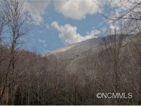 199 COPPER SPUR ROAD - Photo 13