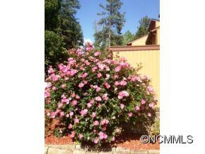 107 Colony Drive - Photo 19