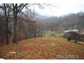 162 Slick Holler - Photo 5