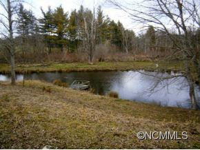 308 Lower Christ School Rd - Photo 5