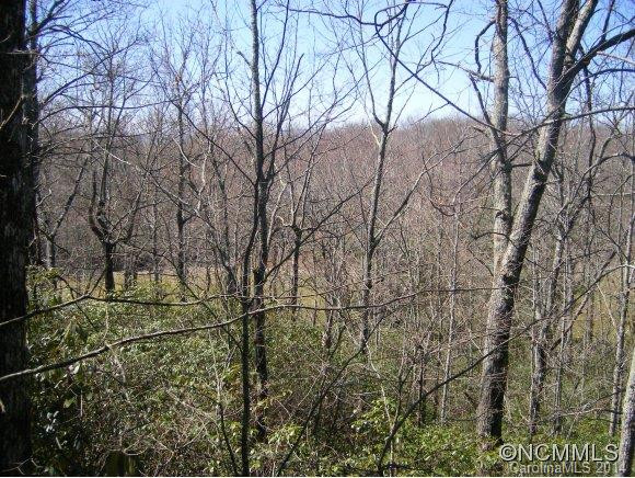 56 Sedi Lane - Photo 9