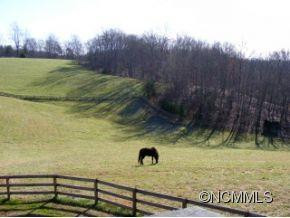 206 Burt Blackwell Road - Photo 13