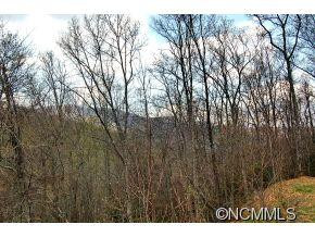 145 Saw Branch Road - Photo 4