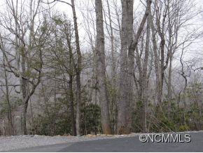 3197 North Fork Left Fork - Photo 5
