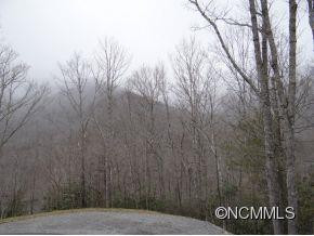 3197 North Fork Left Fork - Photo 9