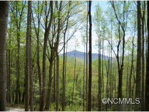 16 Bobcat Lane - Photo 2