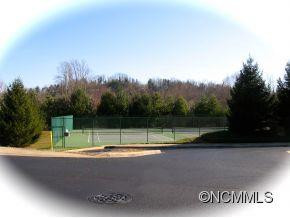 905 Deermouse Way - Photo 4