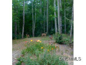 97 Bishop Cove Road - Photo 16