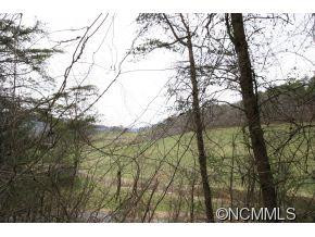 232 Potato Branch - Photo 9