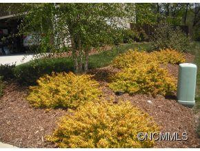 209 Wildbriar Road - Photo 22