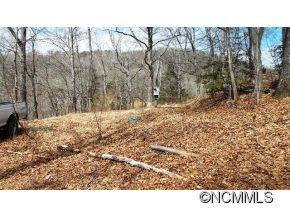 176 Ed Mccall Ridge - Photo 12