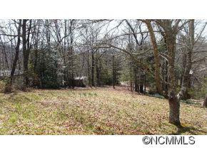 176 Ed Mccall Ridge - Photo 13