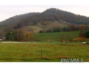 550 Joe Payne Road - Photo 5