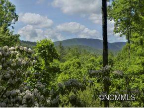 296 CEDAR ROCK TRAIL - Photo 3